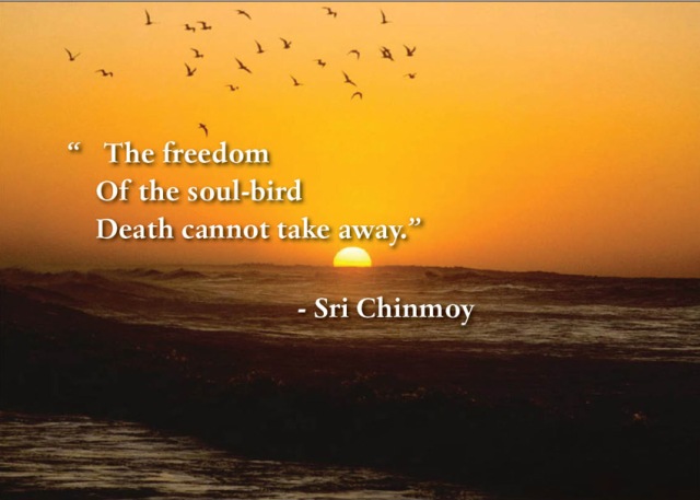 palavra-do-dia-the-freedom-of-soul-bird-death